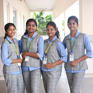 Secondary Curriculum (Classes IX & X) image